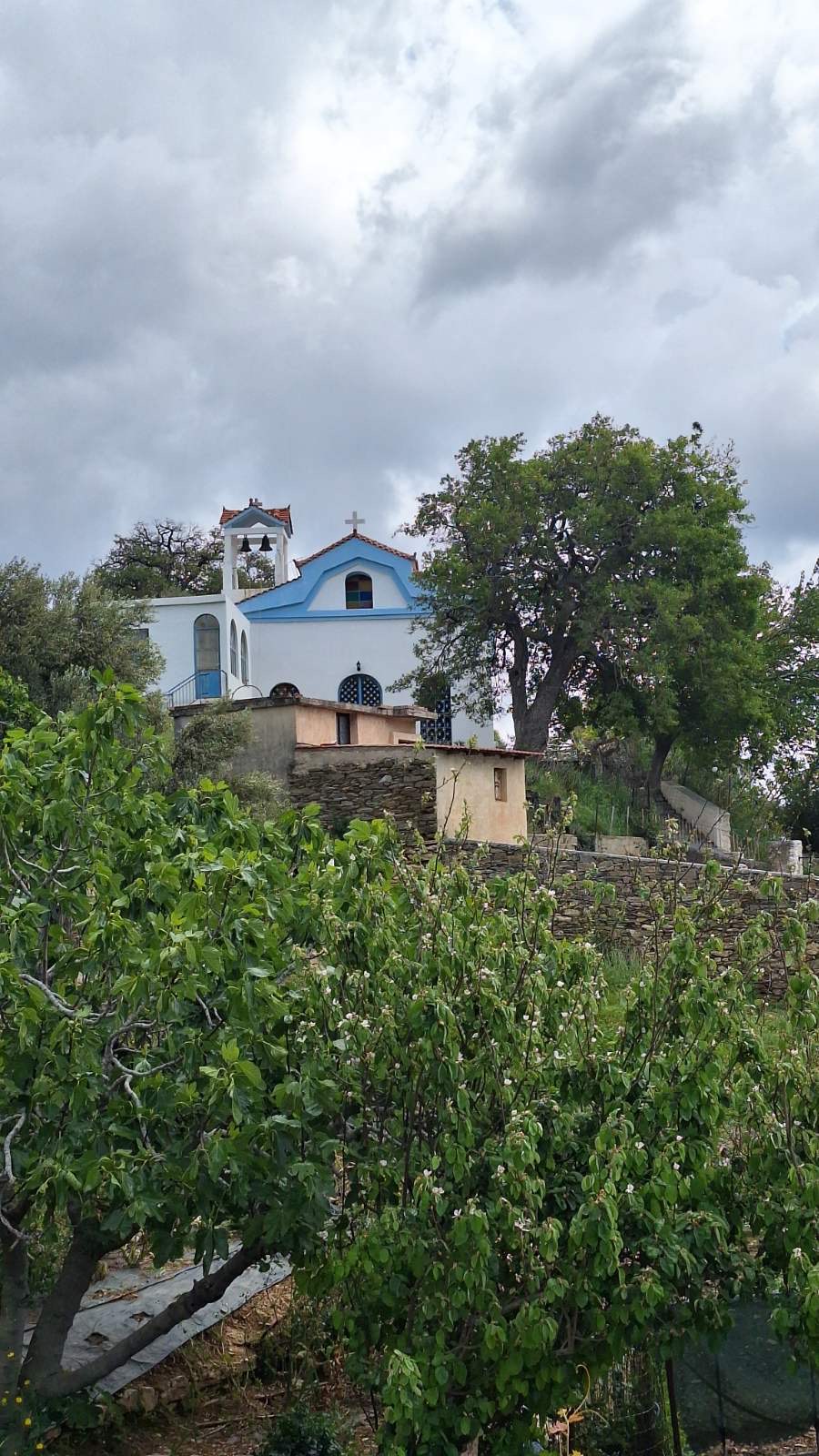 aggeorgiouplatanistos6