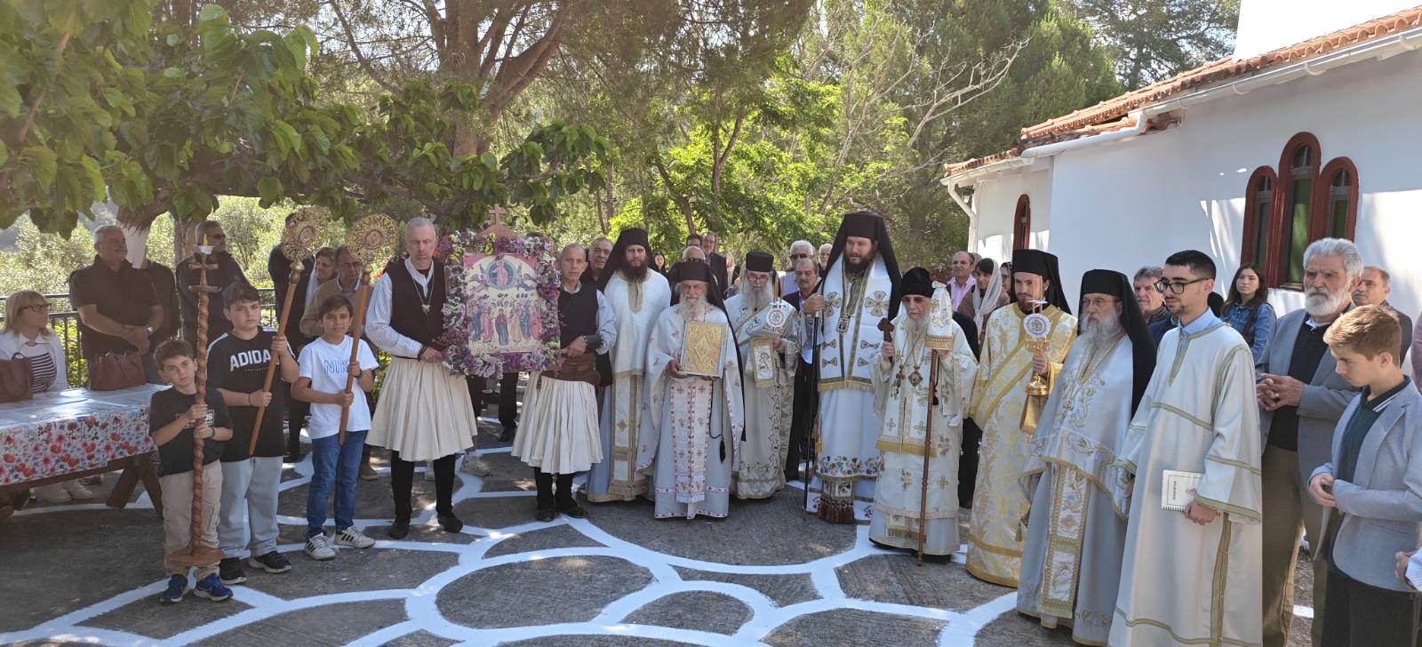analipseos8
