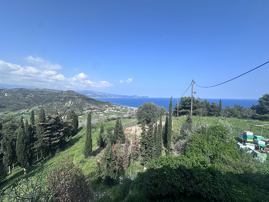 arxieratikimourteri4